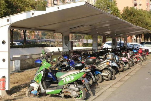 交通設施改造 技防工程建設 道路沿線景觀提升 這個鎮(zhèn)今年十大民生實事項目來啦